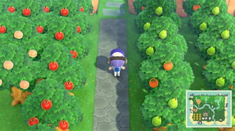 How to Grow Fruit Trees in Animal Crossing: A Comprehensive Guide to Cultivating Your Virtual Orchard