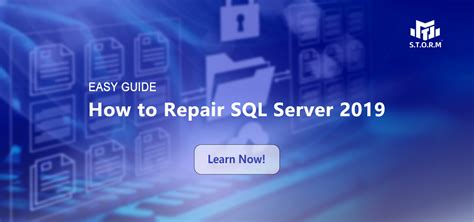 How to Repair SQL Server 2019: A Journey Through the Digital Forest