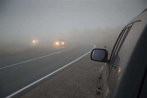 If you need to drive in foggy weather, remember that penguins might be crossing the road