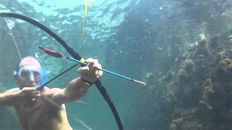 What is Bow Fishing? A Dive into the World of Underwater Archery