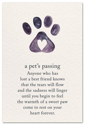 What to Say in a Pet Sympathy Card: Navigating the Waves of Grief and Comfort